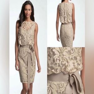 Tadashi Shoji Size 4 dress with belt